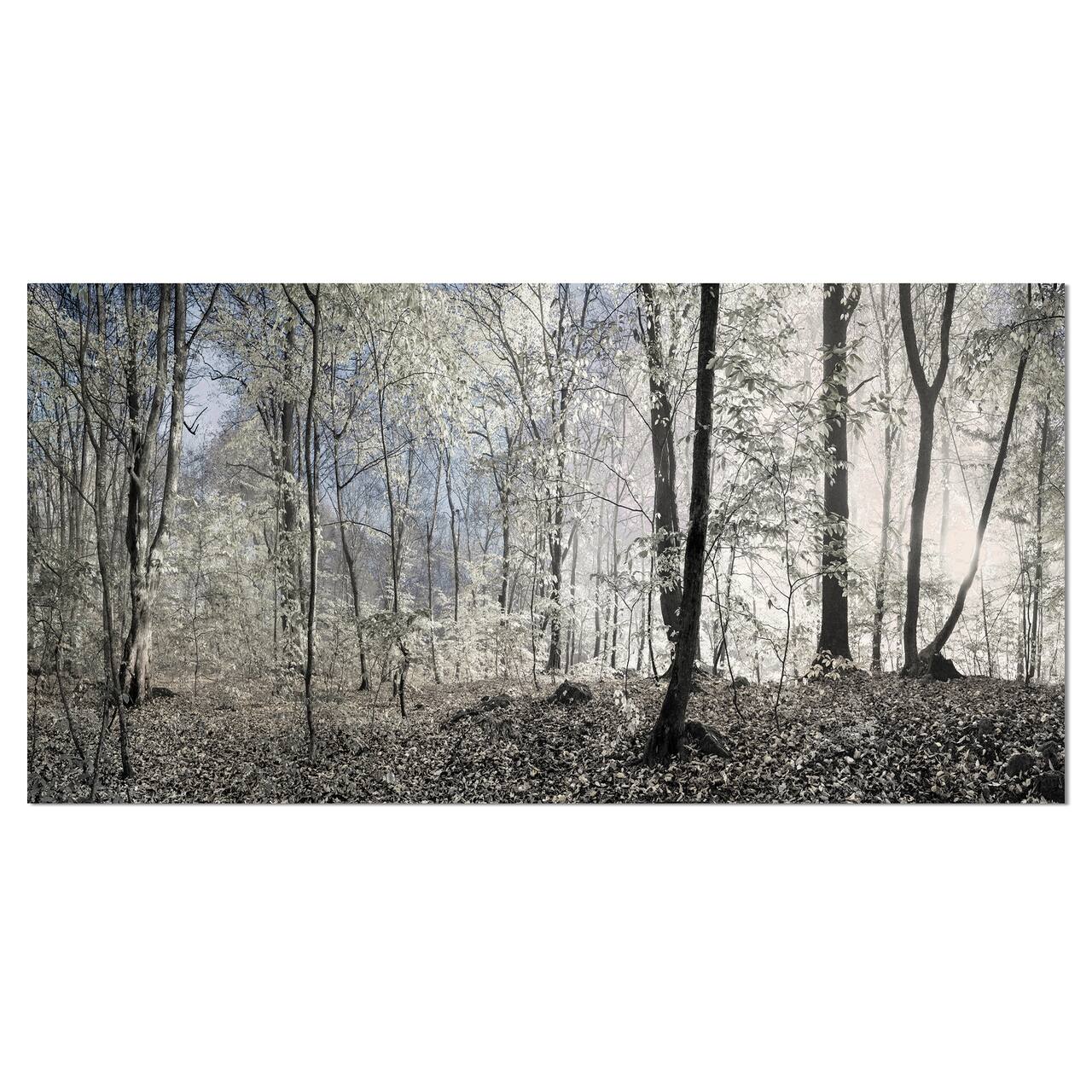 Designart - Dark Morning in Forest Panorama - Landscape Canvas Art Print